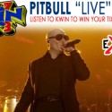 Pitbull ALL Weekend