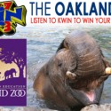 Oakland Zoo Weekend