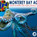 Monterey Bay Aquarium